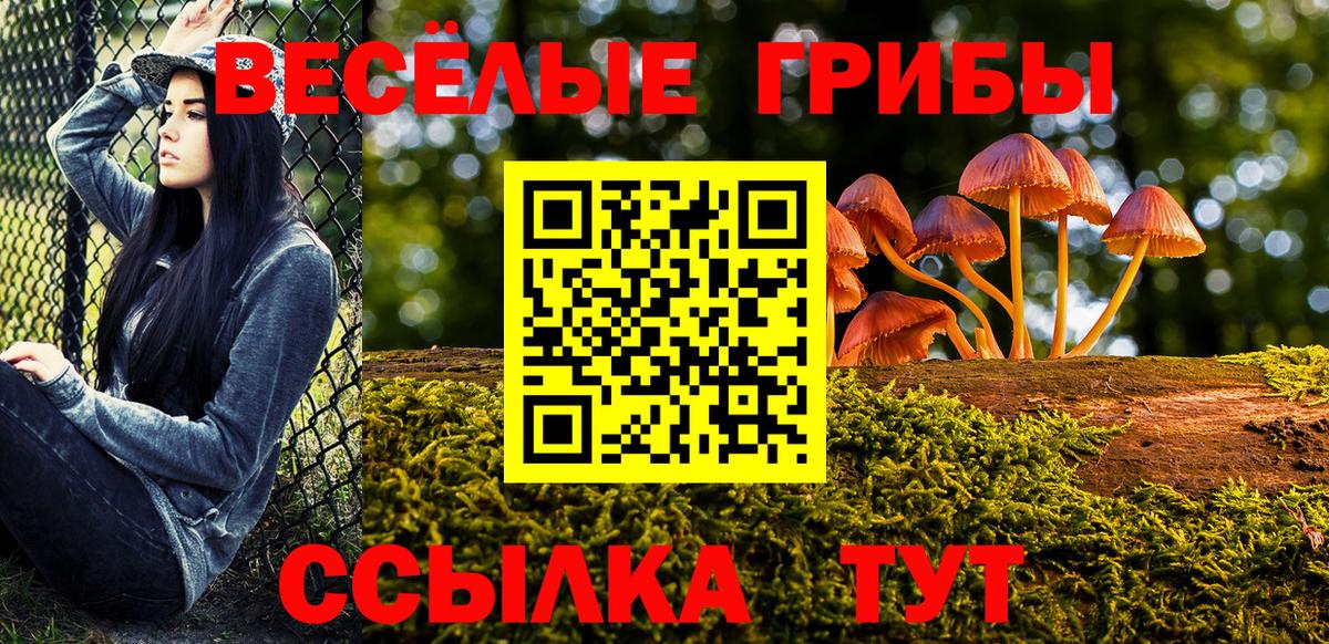 Псилоцибиновые грибы мухоморы  Вход с VPN  Барабинск 