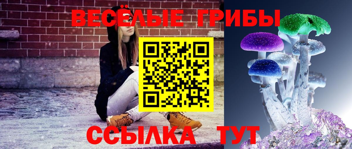Псилоцибиновые грибы Cubensis Барабинск